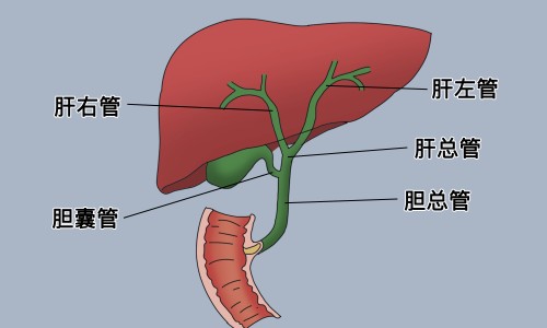 建水共享电单车-萁美郦丝功效网—知名的美郦斯官网网站,分享广州萁美郦丝生物科技有限公司知识
